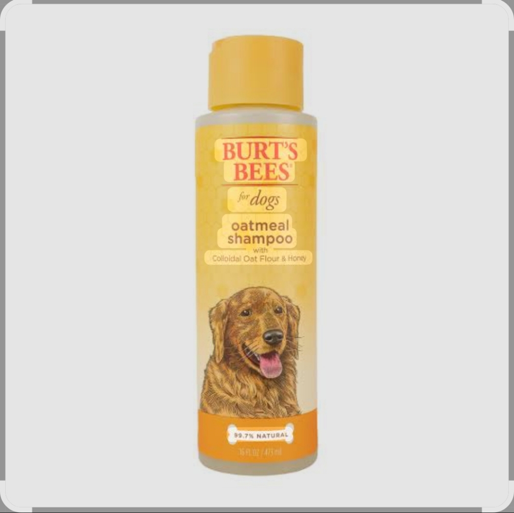 Burt's Bees Oatmeal Shampoo for Dogs - Yellow and Brown